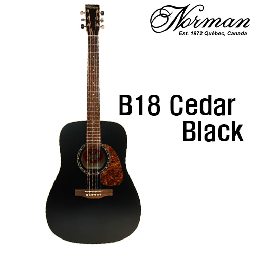 노먼 B18 Cedar Black / Norman B18 Cedar Black [네이버톡톡/카톡 AMA-zing 추가인하]