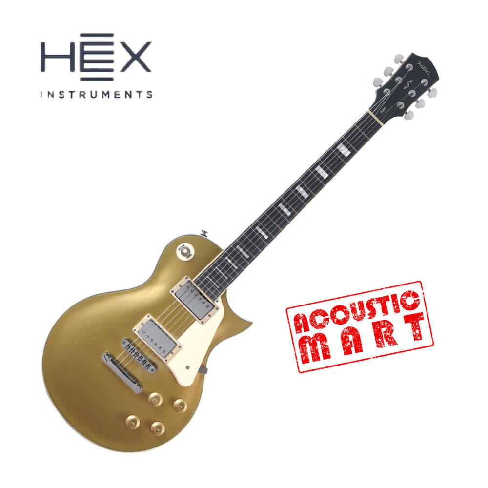 헥스 일렉기타 HEX H300 SG/GD 
