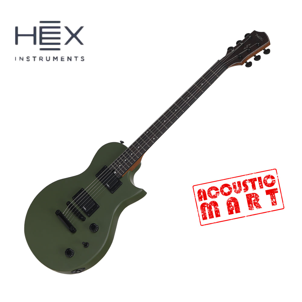 헥스 일렉기타 HEX H100 S/AG 