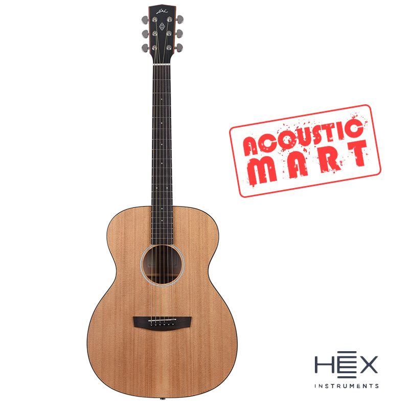헥스 HEX BETA F70M 입문용 기타