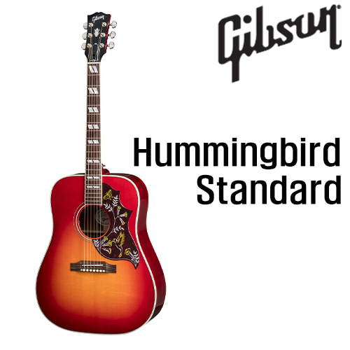 깁슨 Hummingbird Standard / Gibson Hummingbird Standard [네이버톡톡/카톡 AMA-zing 추가인하]