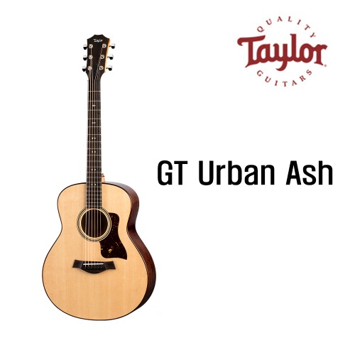 테일러 GT Urban Ash  / Taylor GT Urban Ash [네이버톡톡/카톡 AMA-zing 추가인하]