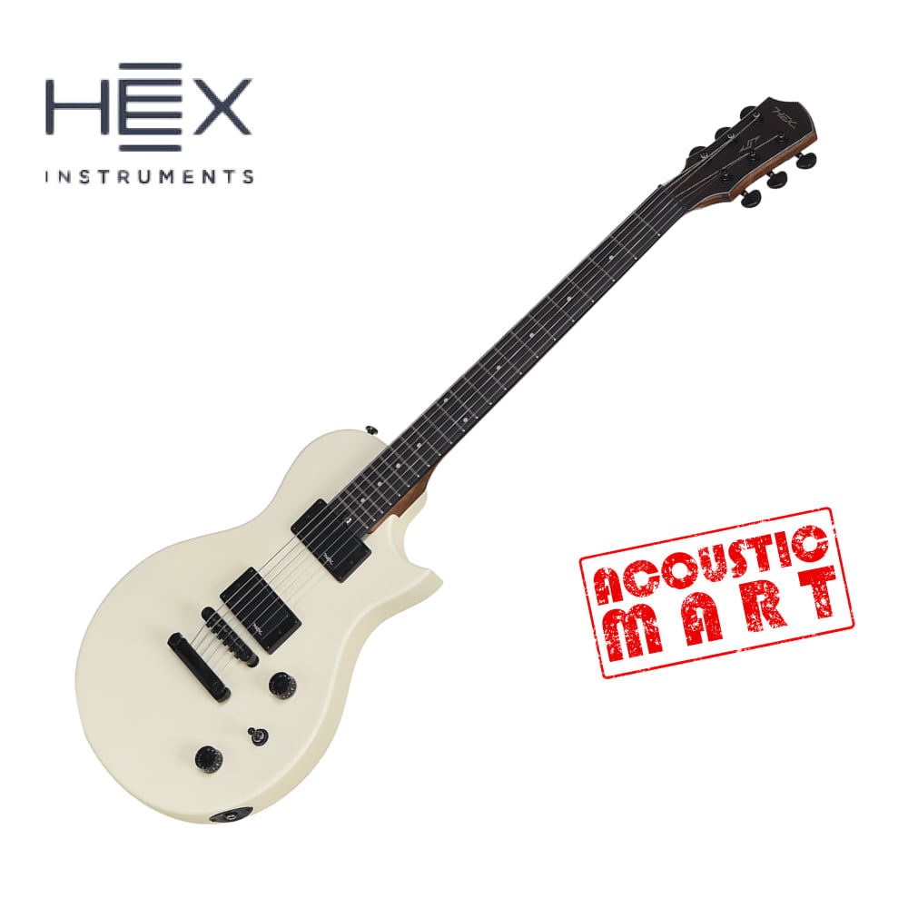 헥스 일렉기타 HEX H100 S/IV