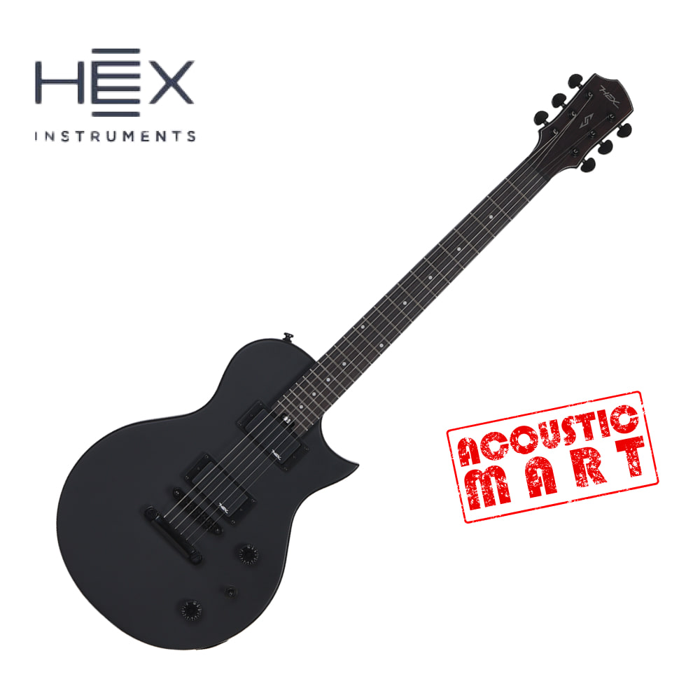 헥스 일렉기타 HEX H100 S/BK 